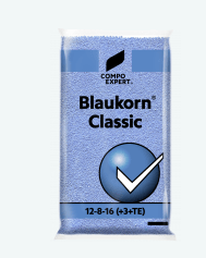 BLAUKORN CLASSIC 12-8-16