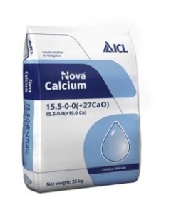 Nova Calcium